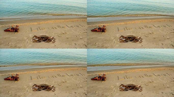 螃蟹和沙滩上的铭文。