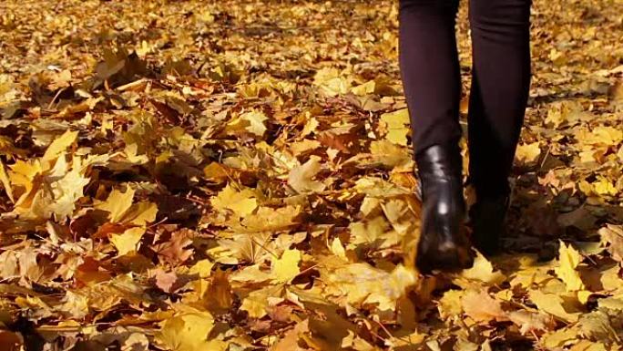 快乐的女孩在秋天的森林中的黄叶地毯上聊天