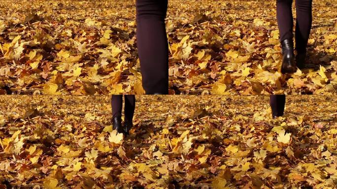 快乐的女孩在秋天的森林中的黄叶地毯上聊天