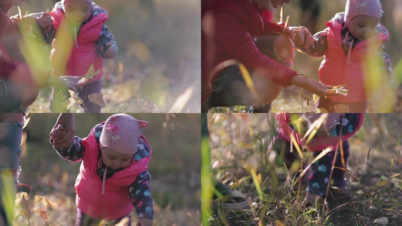 一个孩子和他的母亲捡起树叶。