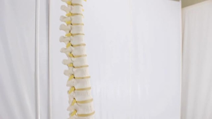 人类脊椎中的人工医学布局椎骨