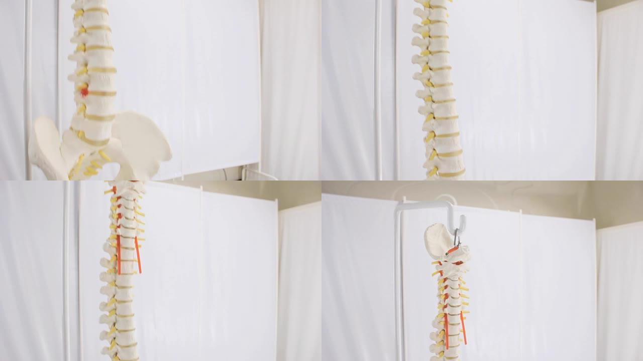 人类脊椎中的人工医学布局椎骨