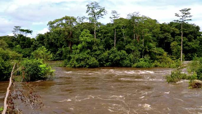 非洲丛林中热带河流的全景