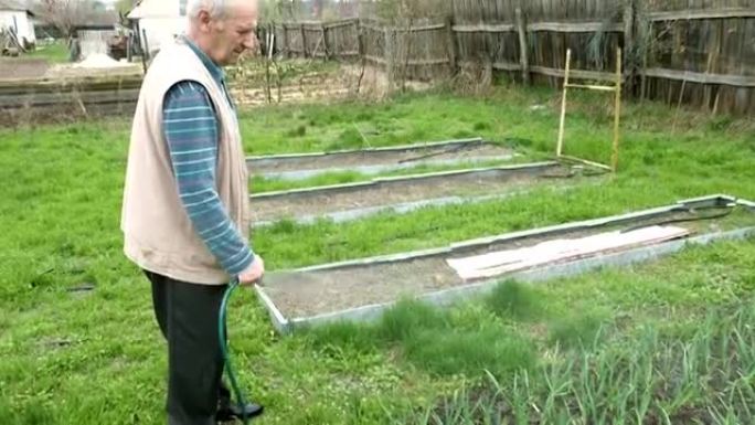 资深老人浇灌一床菜园