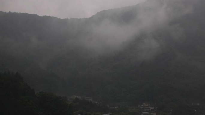 暴雨过后，令人困扰的迷雾穿过针叶混交林。适度的时间流逝。