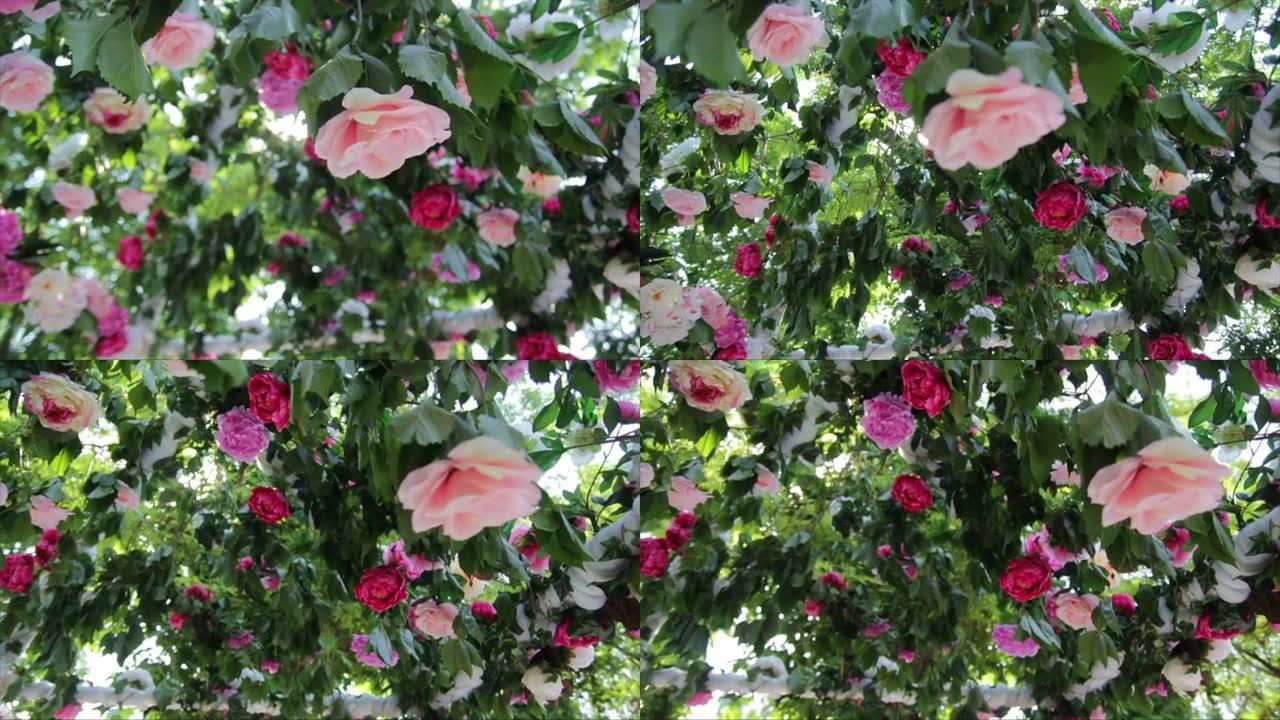 鲜花玫瑰婚礼拱门装饰