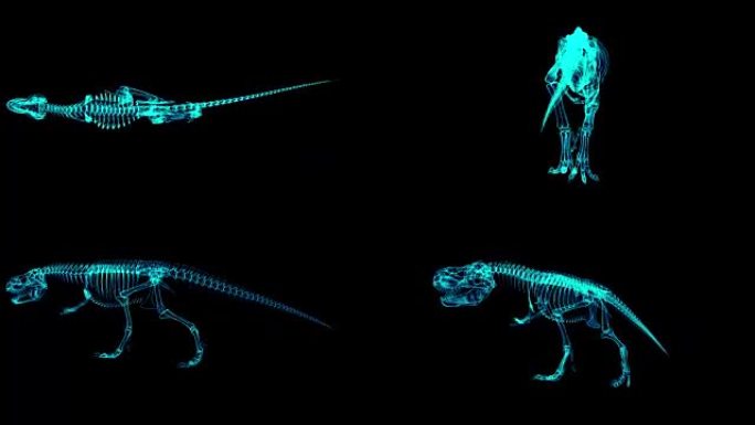 Trex Xray骨架行走循环、3D动画循环、alpha通道