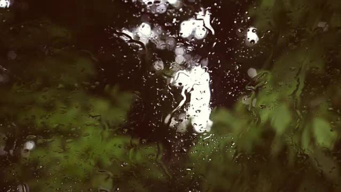 雨滴滴落在树林中的汽车引擎盖上-时髦的颜色等级