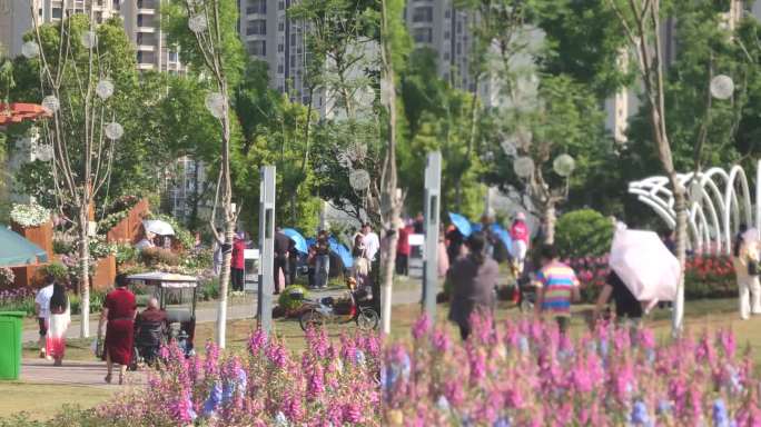 四川省德阳市旌阳区柳梢堰湿地公园竖屏