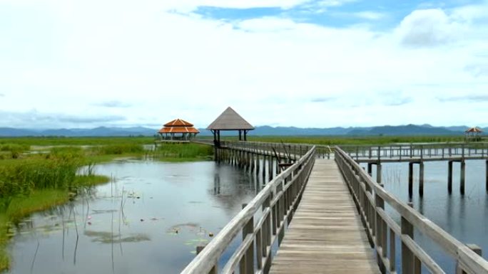 宁静的热带湖上木桥的风景景观