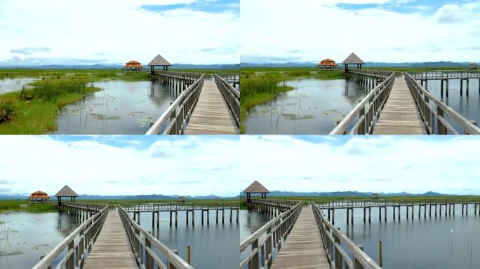 宁静的热带湖上木桥的风景景观