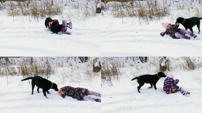 小女孩在雪地上玩她的黑色拉布拉多犬，慢动作
