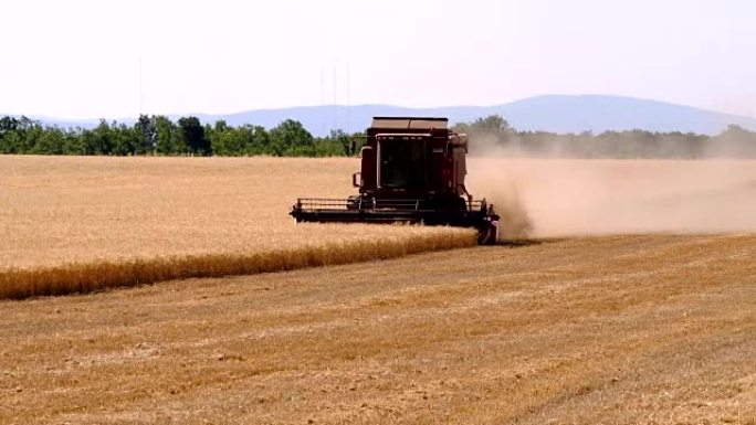 收割机收集小麦作物
