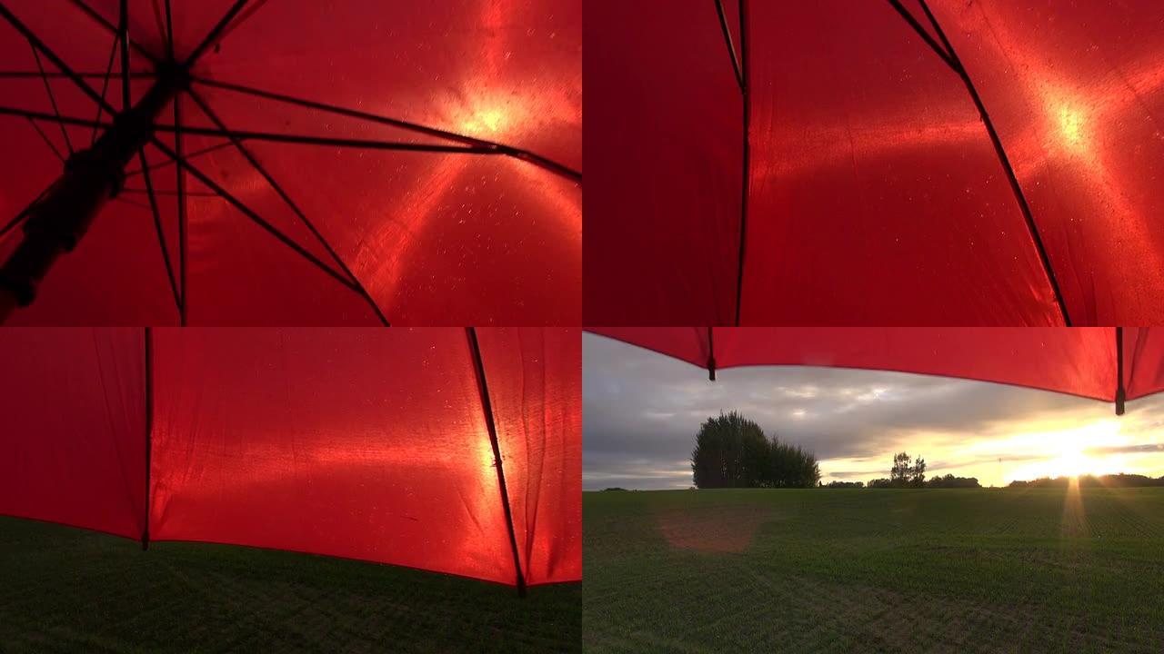 雨后红伞和日落景观