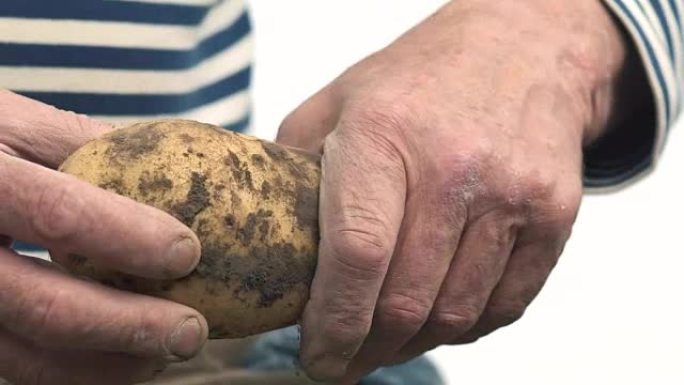 农夫手里拿着一种生物制品，包括土豆、手和沾满泥土的土豆。概念生物学，生物产品，生物生态学，种植蔬菜，