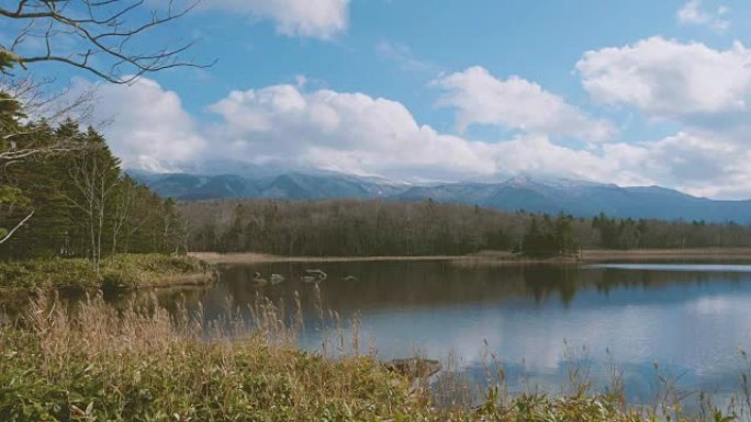 知床五湖，知床五湖，日本北海道知床国立公园内，以4k拍摄