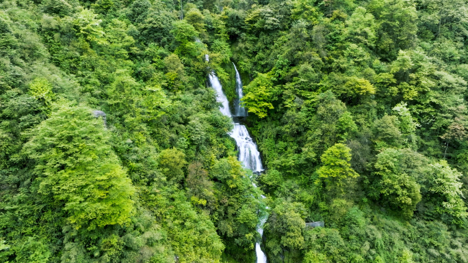 唯美神奇原始森林溪流瀑布翠绿山水航拍素材