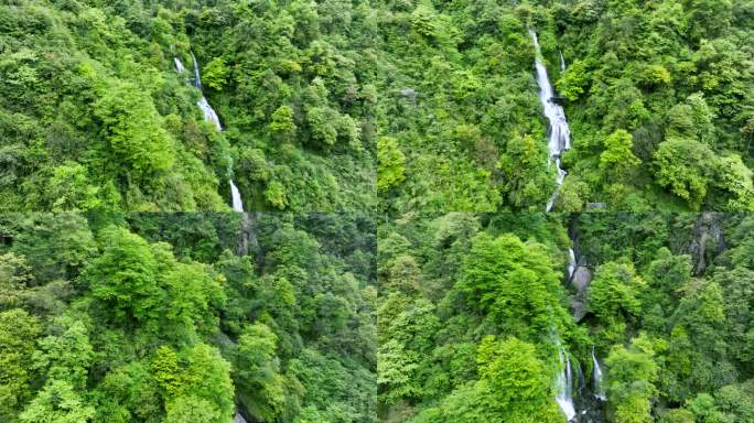 唯美神奇原始森林溪流瀑布翠绿山水航拍素材