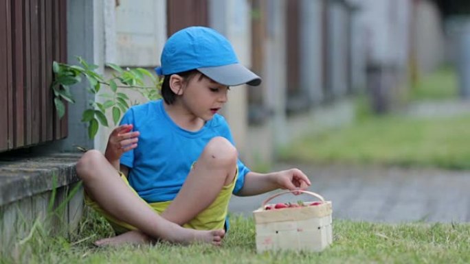 可爱的小孩，男孩吃草莓，夏天。孩子吃健康的有机自制新鲜草莓
