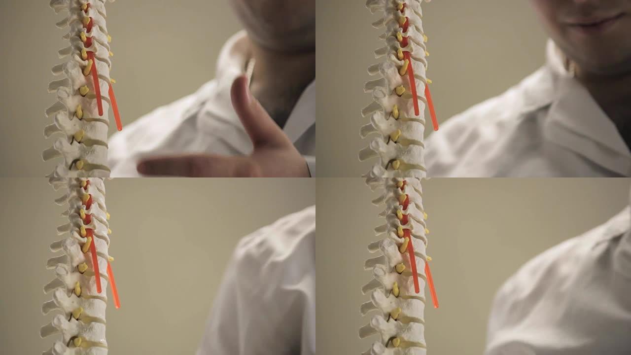 人体脊椎的椎骨布局，特写，医生展示