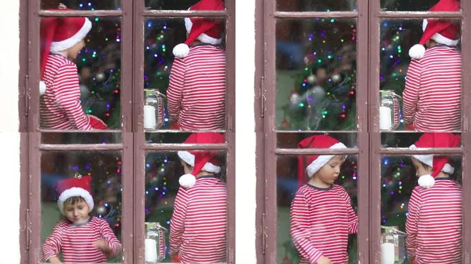 两个孩子，男孩，白天坐在窗户上，不耐烦地等待圣诞节，身后的五颜六色的树