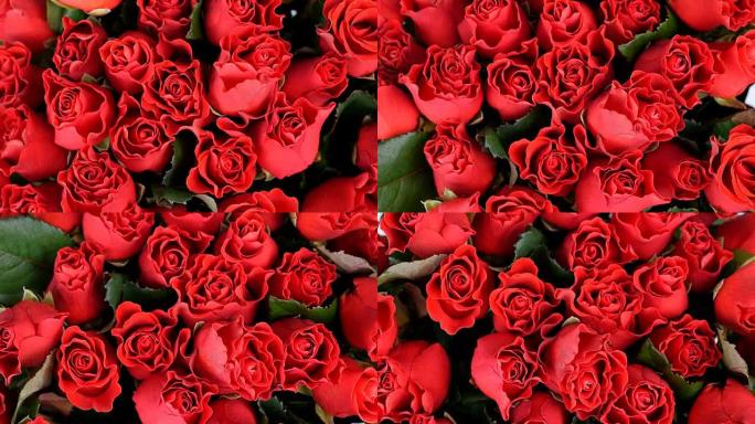 特写，俯视，鲜花，花束，旋转，花卉组成由红玫瑰斗牛。神圣的美