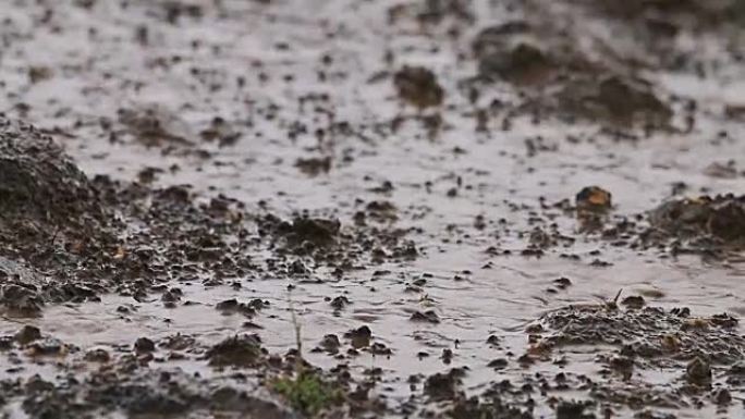 大冰雹暴雨