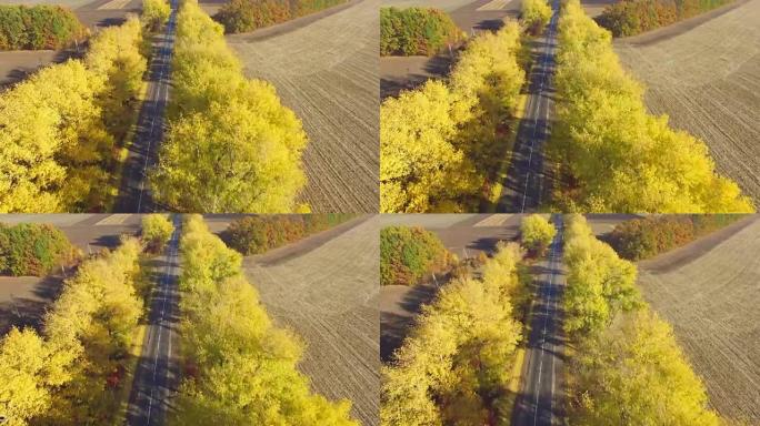 在田野之间的道路上进行空中飞行。秋天的颜色。