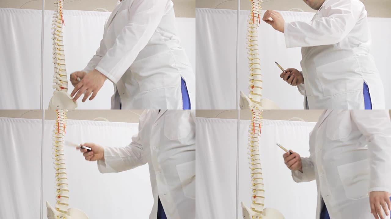 医生描述人体脊柱的布局