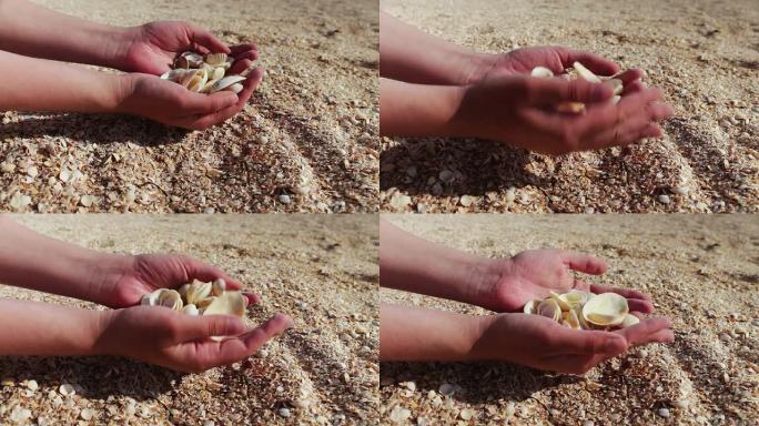 一个男人的手在沙滩上拿贝壳，沙子