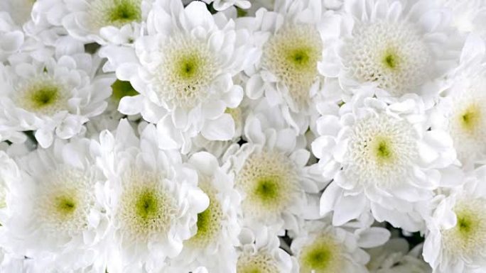 特写，从上面看，鲜花，花束，旋转，花卉组成由白菊洋甘菊百加得组成