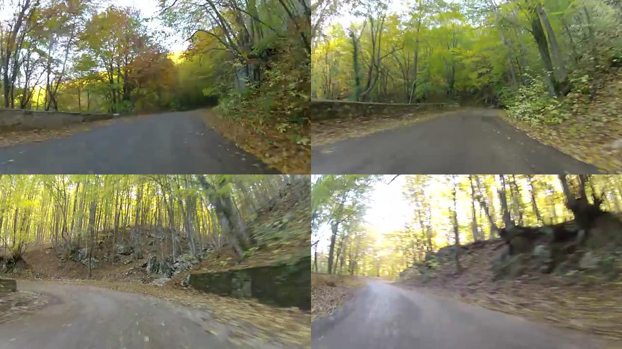 森林中的旧挡土墙，GoPro视频