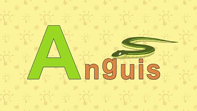 Anguis. English ZOO字母表-字母A