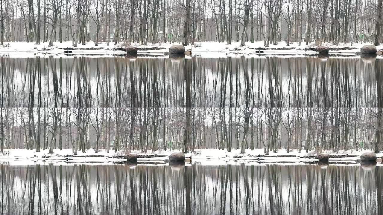 冬季树木在水中反射