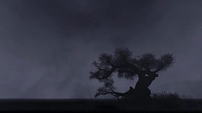 孤独的树，闪电风暴