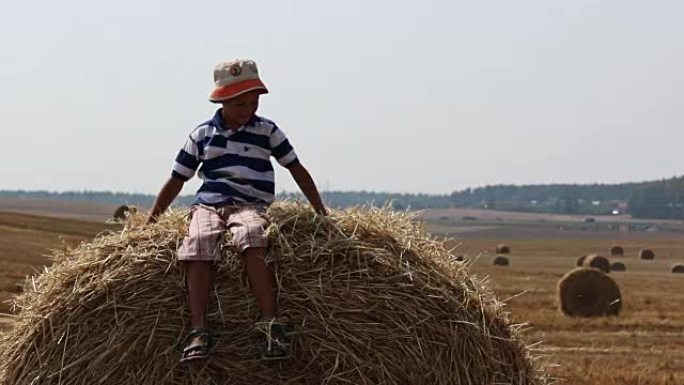 干草堆上的男孩在干草堆上扔了，村里的农民男孩