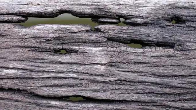 有孔和水背景的旧木地板