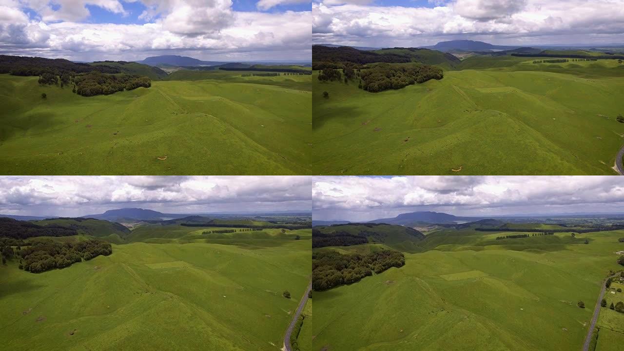 鸟瞰图的绿色草地与起伏的丘陵在罗托鲁瓦，新西兰
