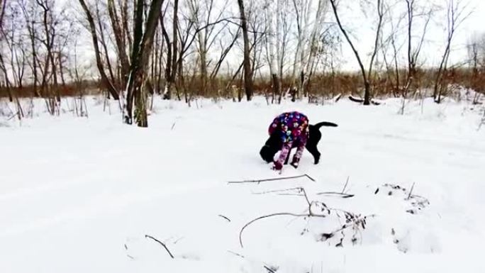小女孩在雪地上玩她的黑色拉布拉多犬
