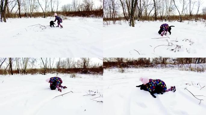 小女孩在雪地上玩她的黑色拉布拉多犬
