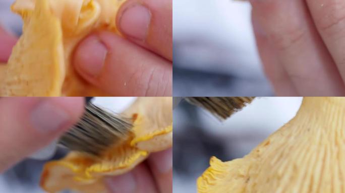 用刷子手清洁黄色蘑菇