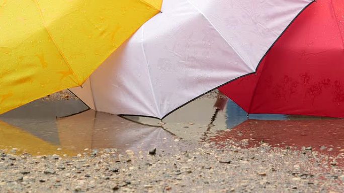 在雨水坑里打开湿雨伞