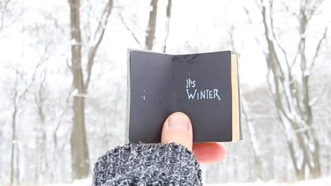 它的冬季-带有铭文的书。