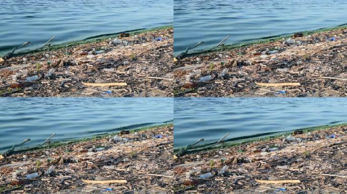 海滩上的污水和垃圾