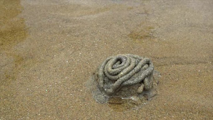 海滩上的螃蟹洞