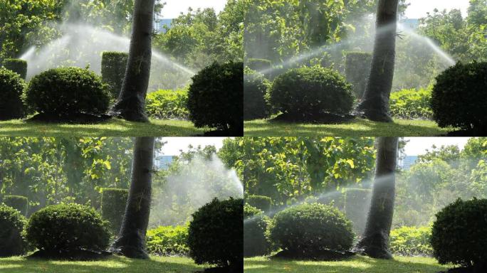 花园洒水