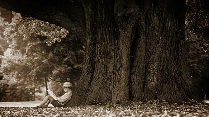 一个男孩坐在一棵巨大的树脚下读书的棕褐色镜头