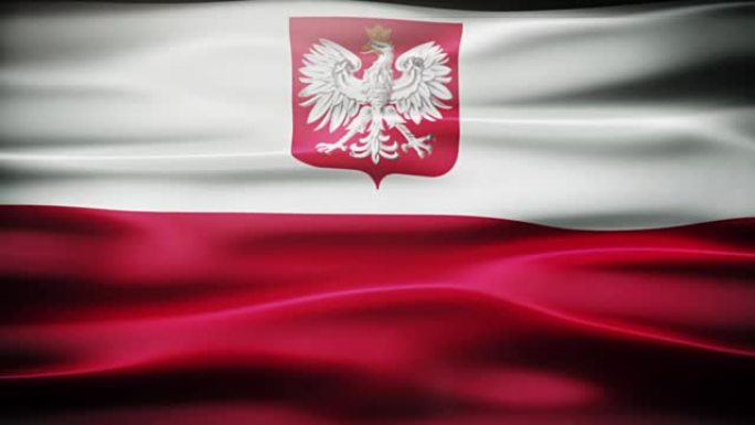 挥舞着波兰国旗。