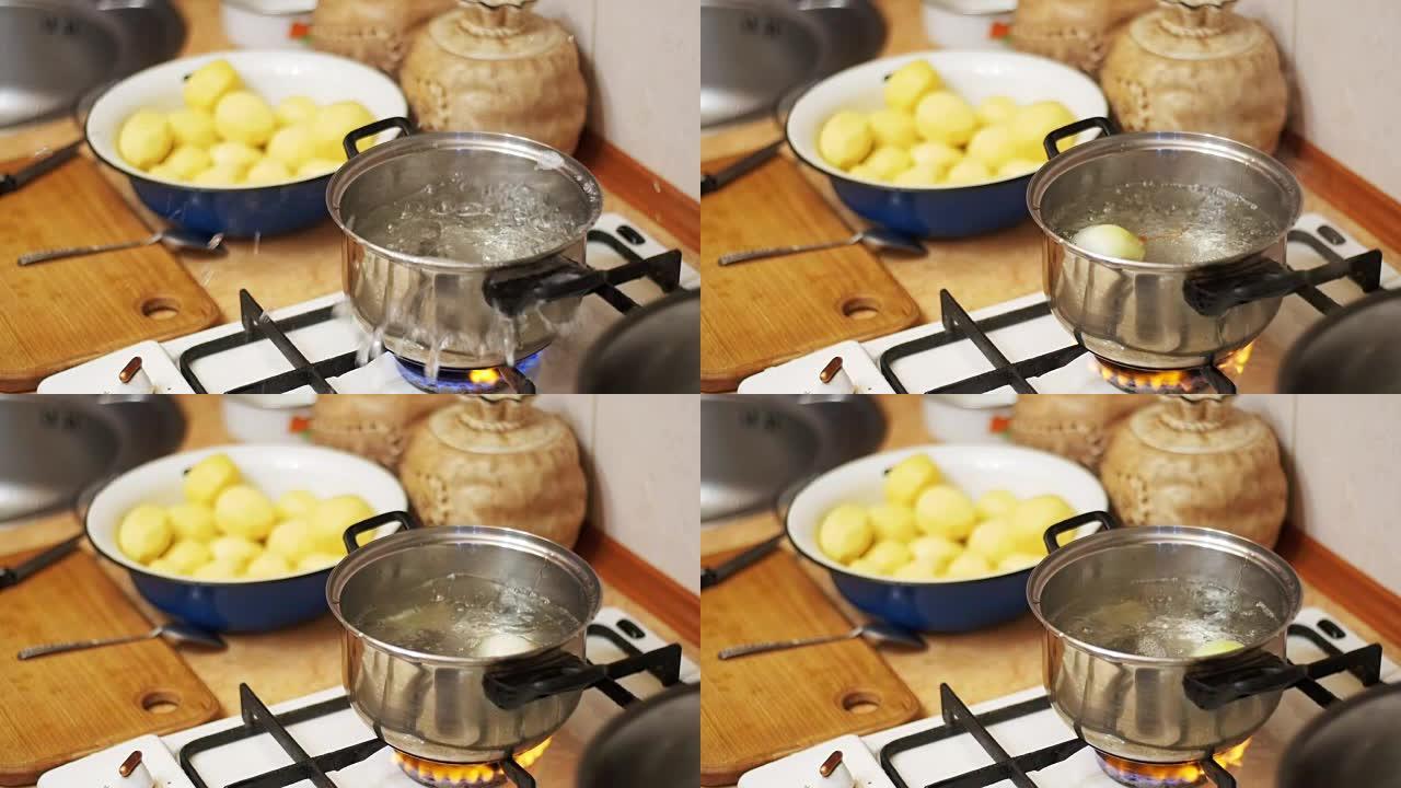 洋葱飞入家庭厨房的一锅开水中。慢动作
