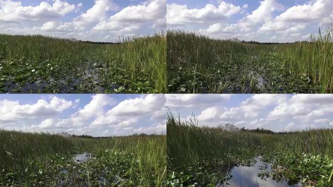 飞艇穿越佛罗里达州中部的湿地